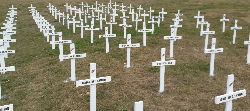 Wellington Field of white crosses 2016 